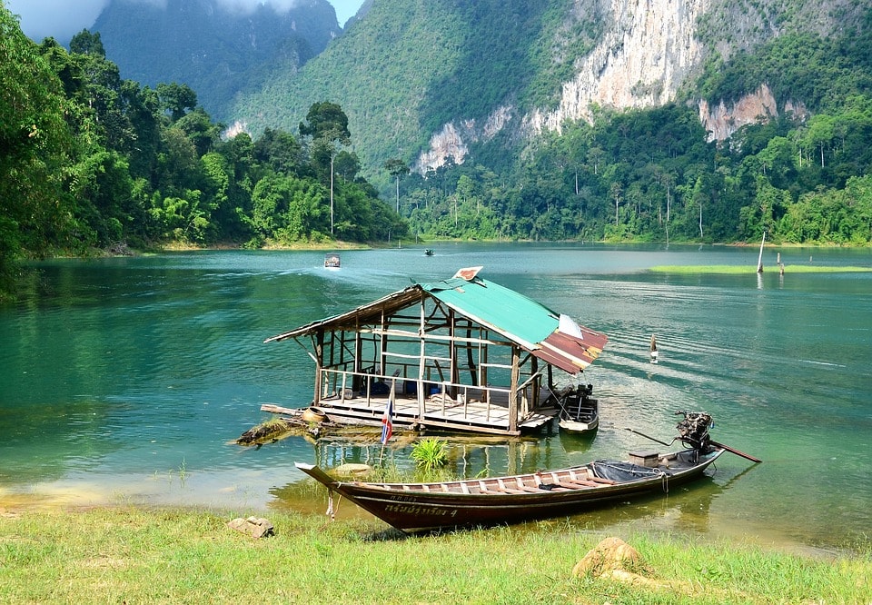Vegetación y Fauna en Tailandia