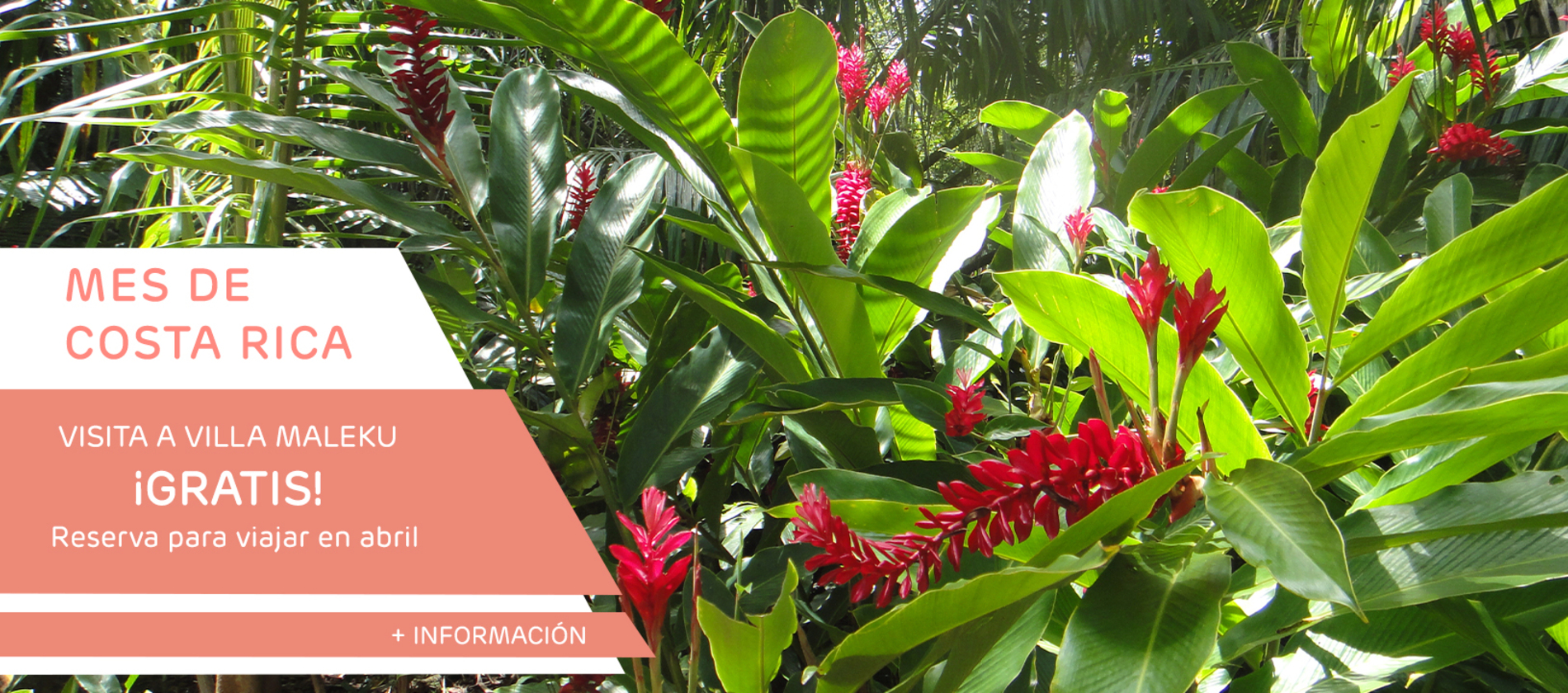 Fondo Pantalla Costa Rica