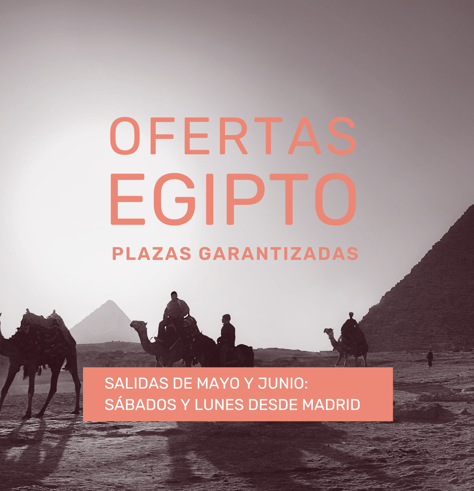 Egipto   (1662 × 1721 Px)